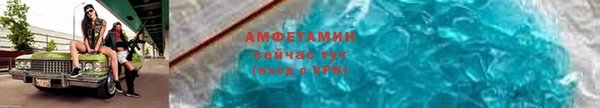 шишки Армянск