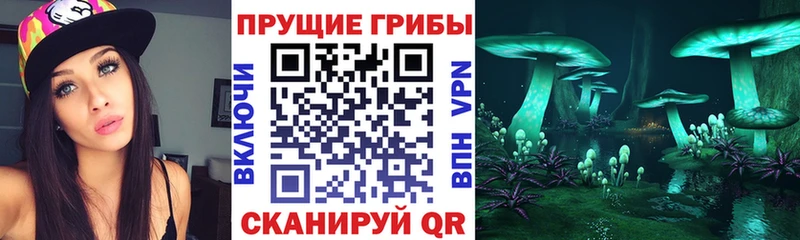 Галлюциногенные грибы GOLDEN TEACHER  Раменское 