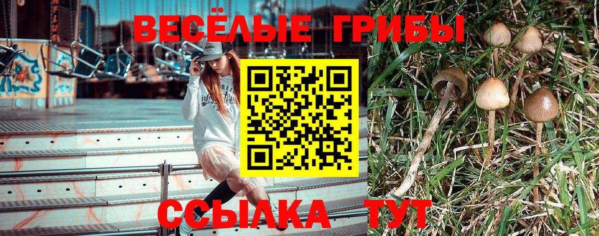 Псилоцибиновые грибы прущие грибы Раменское